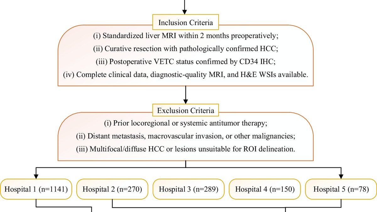 npj Precision Oncology：MAVEN融合MRI与病理全片预测肝癌VETC，五中心1928例外部AUC 0.879至0.891