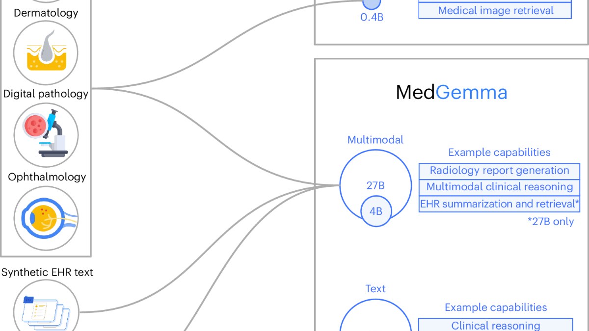 Google开源MedGemma医学视觉语言模型：胸片征象分类最高提升18.1%，同步发布MedSigLIP