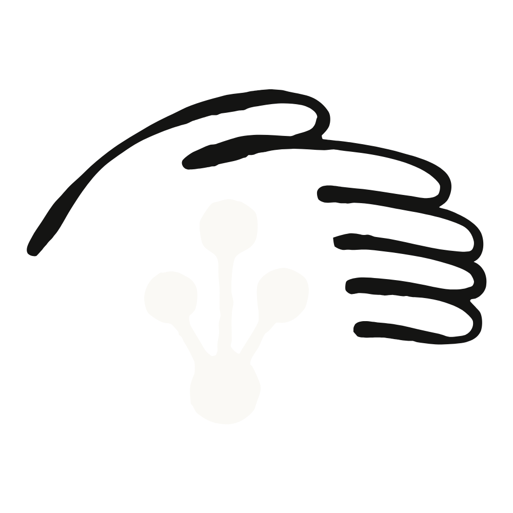 Anthropic 启动面向罕见病研究的 AI for Science 资助计划