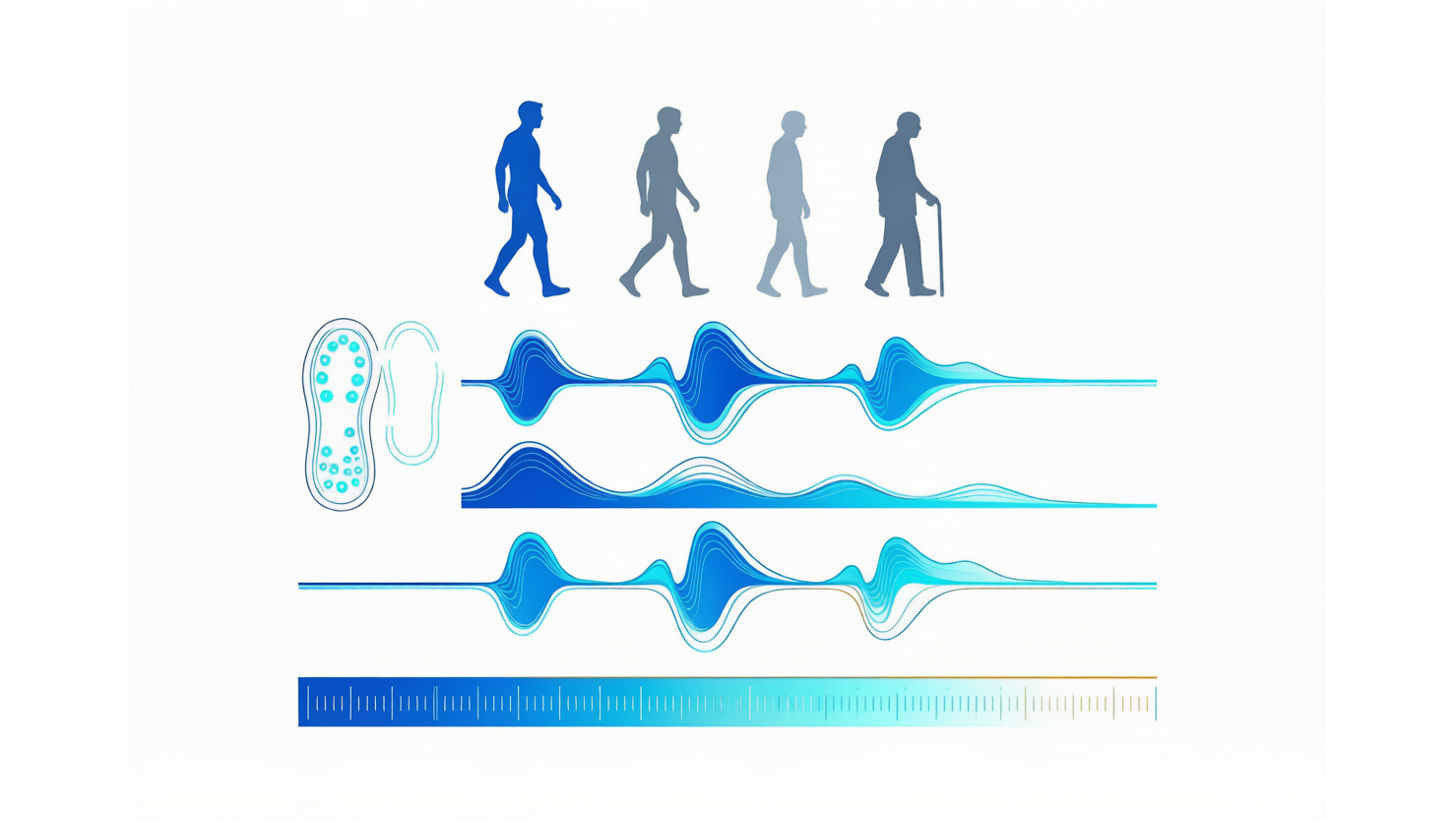 GaitND — 神经退行性疾病步态动力学数据库 AI-Ready Wikipedia | 千方病案医数集