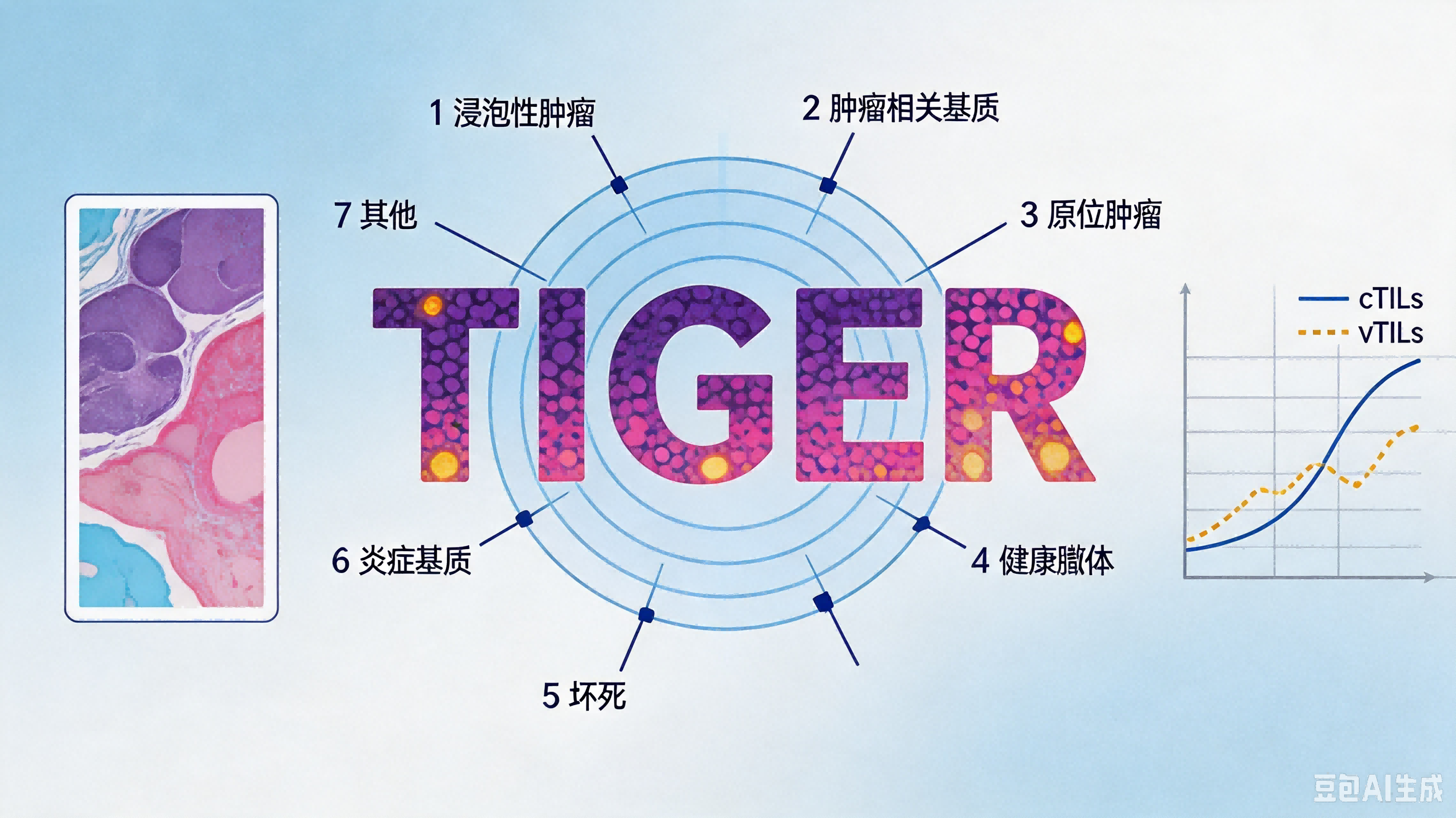 TIGER (肿瘤浸润淋巴细胞计算挑战赛) — 乳腺癌病理 AI 数据集 | 千方医数集