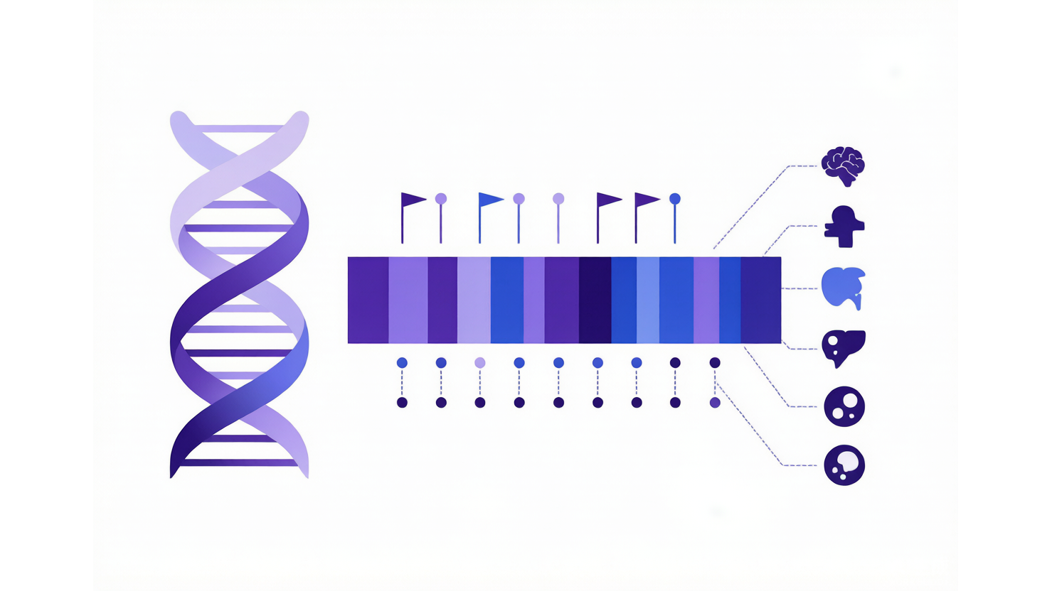 Roadmap Epigenomics — 人类参考表观基因组图谱 AI-Ready Wikipedia | 千方病案医数集