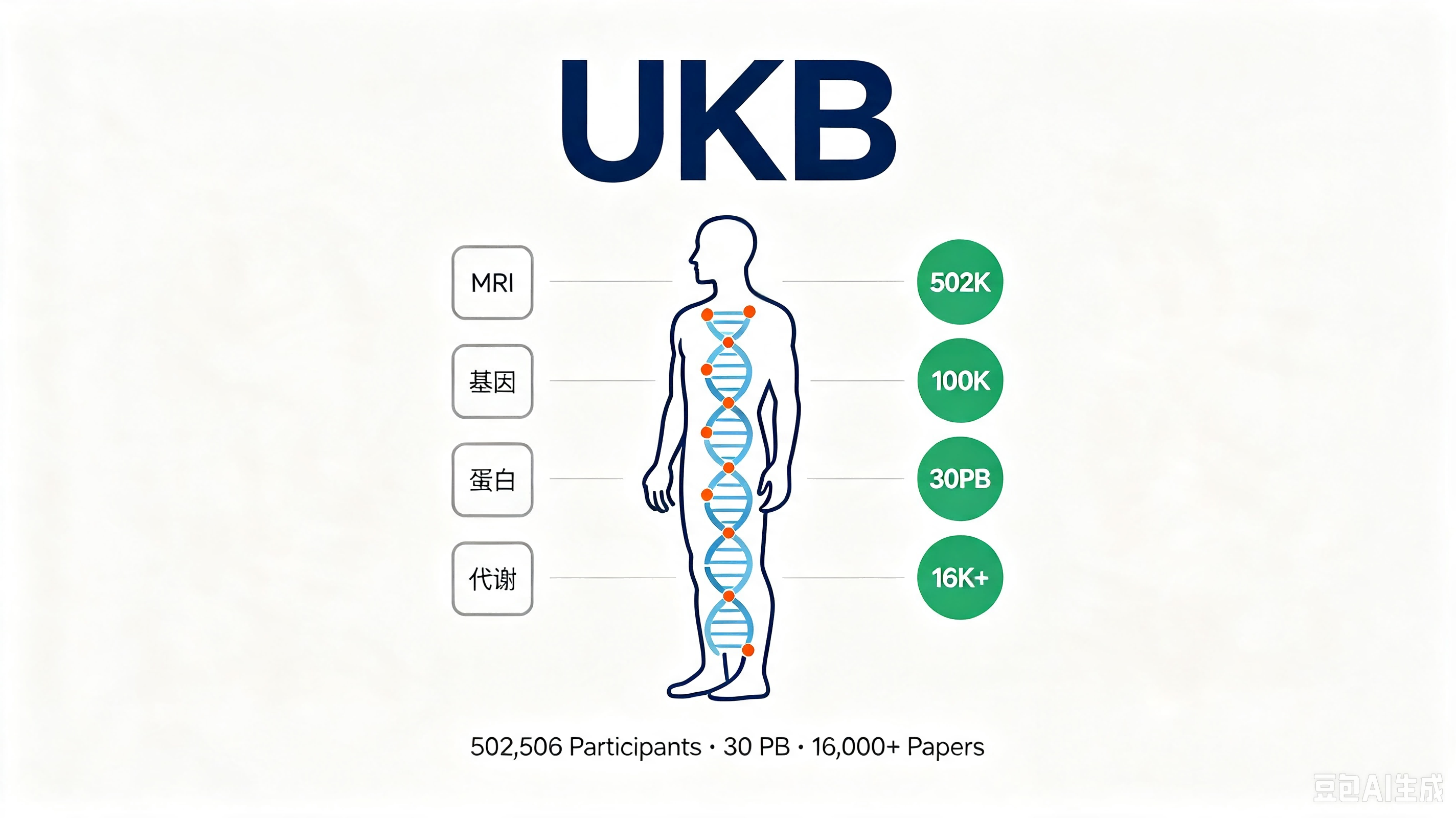 UK Biobank — 50万人前瞻性人口健康队列多组学影像超大数据集 AI-Ready Wikipedia | 千方医数集