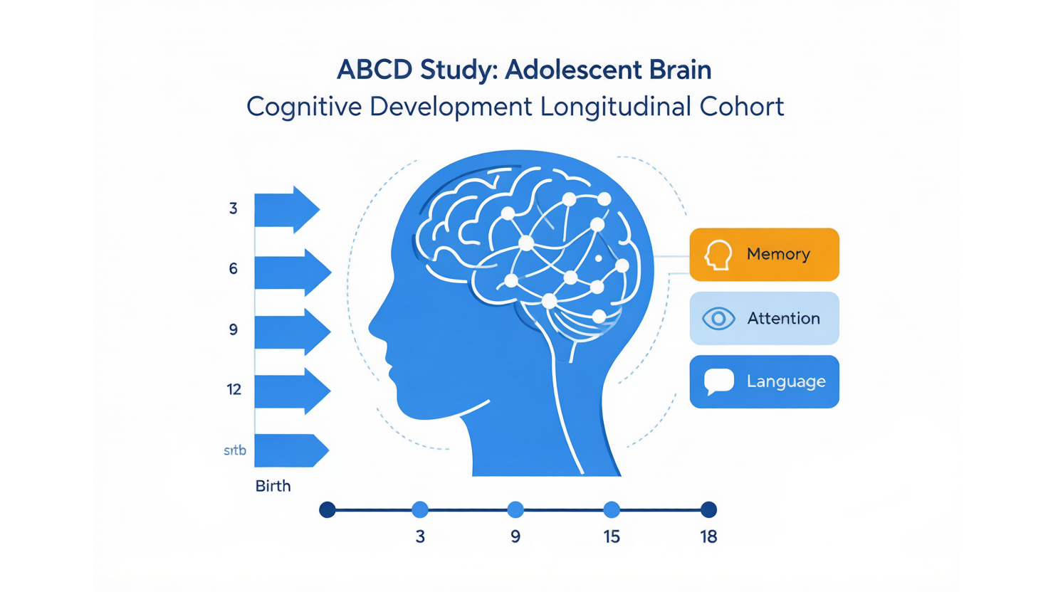 ABCD — 青少年脑发育纵向队列 AI-Ready Wikipedia | 千方病案医数集
