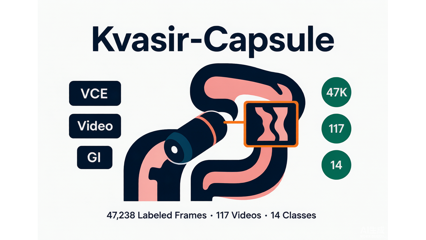 Kvasir-Capsule — 最大公开胶囊内镜视频数据集 AI-Ready Wikipedia | 千方病案医数集