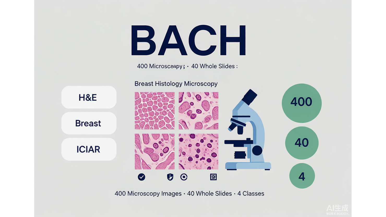 BACH — 乳腺癌组织学图像挑战赛数据集 AI-Ready Wikipedia | 千方病案医数集