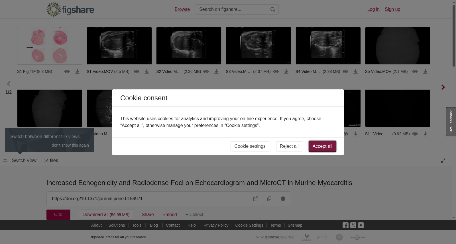 小鼠心肌炎模型中超声心动图和MicroCT显示回声增强与放射致密灶