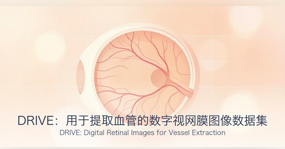 DRIVE:用于提取血管的数字视网膜图像数据集