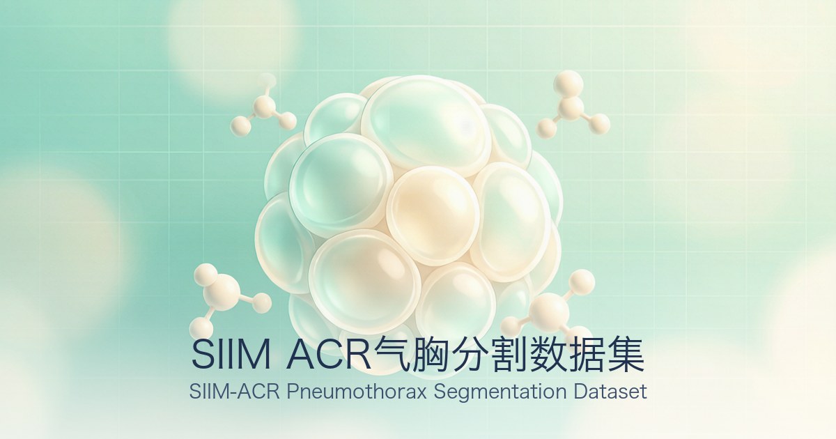 SIIM ACR气胸分割数据集