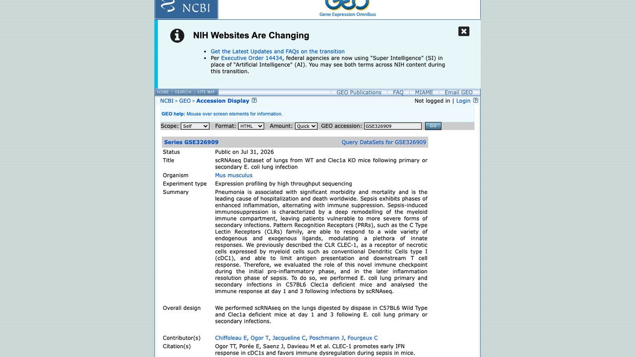 WT与Clec1a KO小鼠原发或继发性大肠杆菌肺部感染后的肺scRNAseq数据集