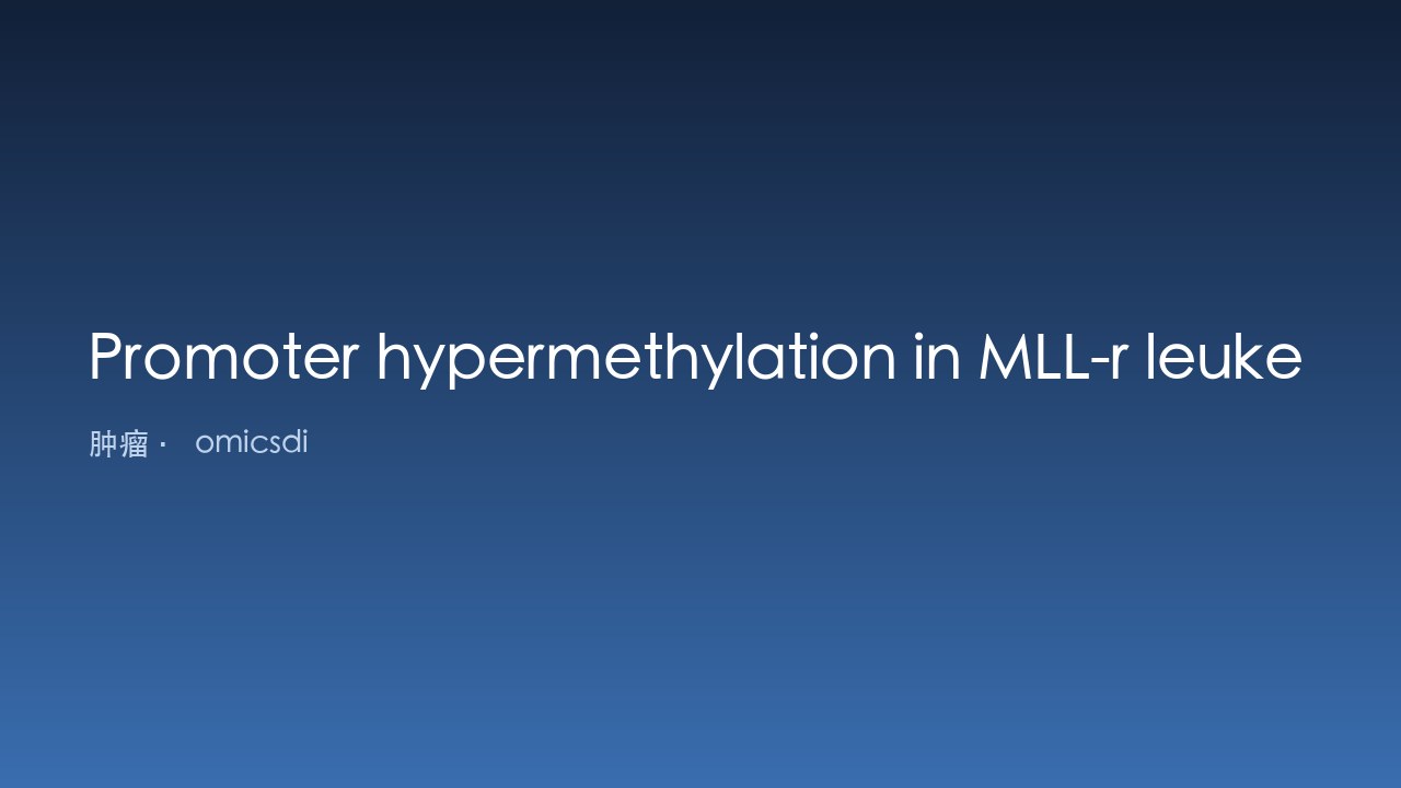 MLL-r 白血病启动子高甲基化:生物学与治疗靶向