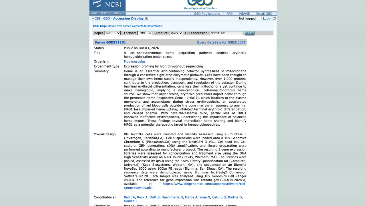 GSE311281:应激下细胞非自主性血红素获取通路促进红系血红蛋白化