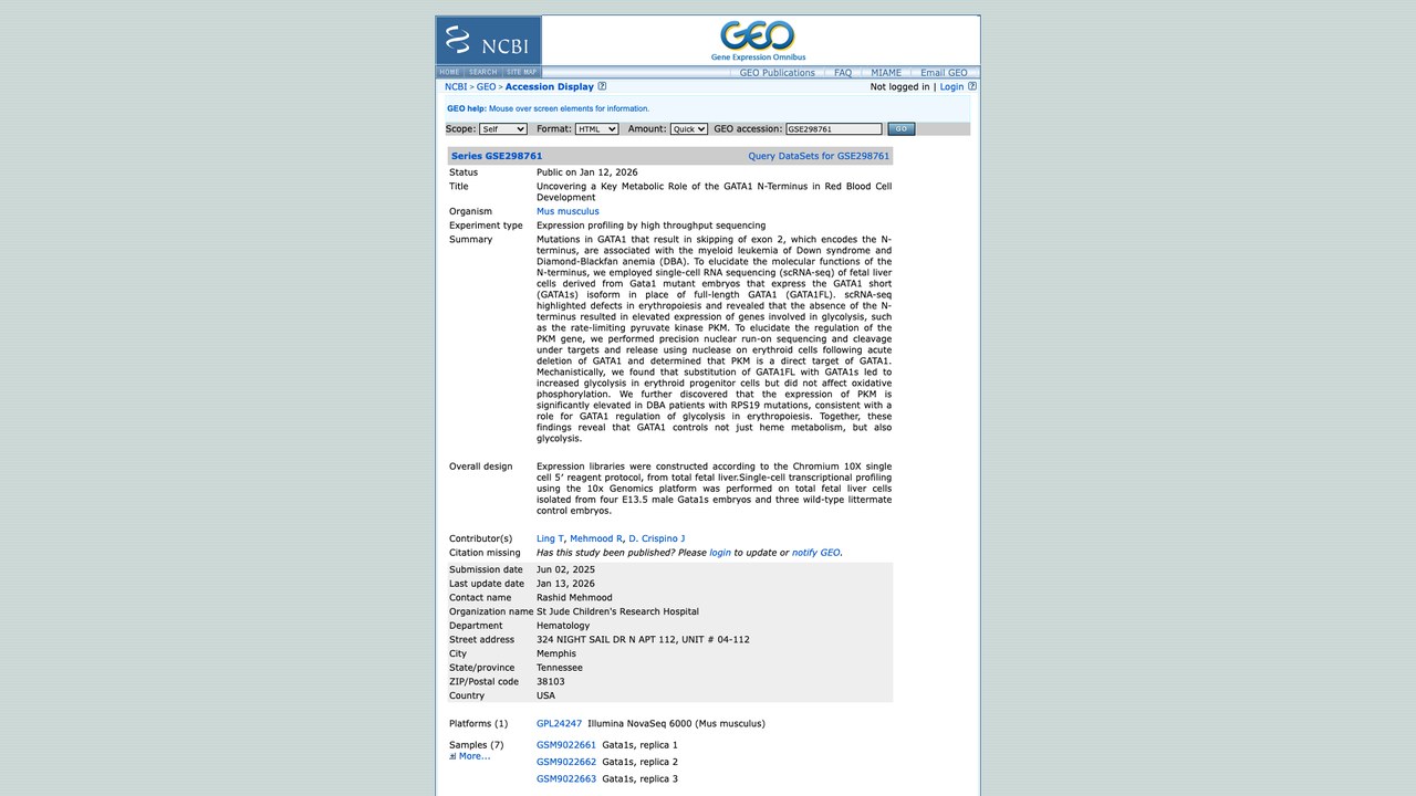 GSE298761:揭示GATA1 N端在红细胞发育中的关键代谢作用