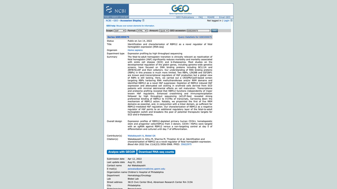 GSE200675：RBM12 作为胎儿血红蛋白表达新型调控因子的鉴定与表征 [RNA-seq]