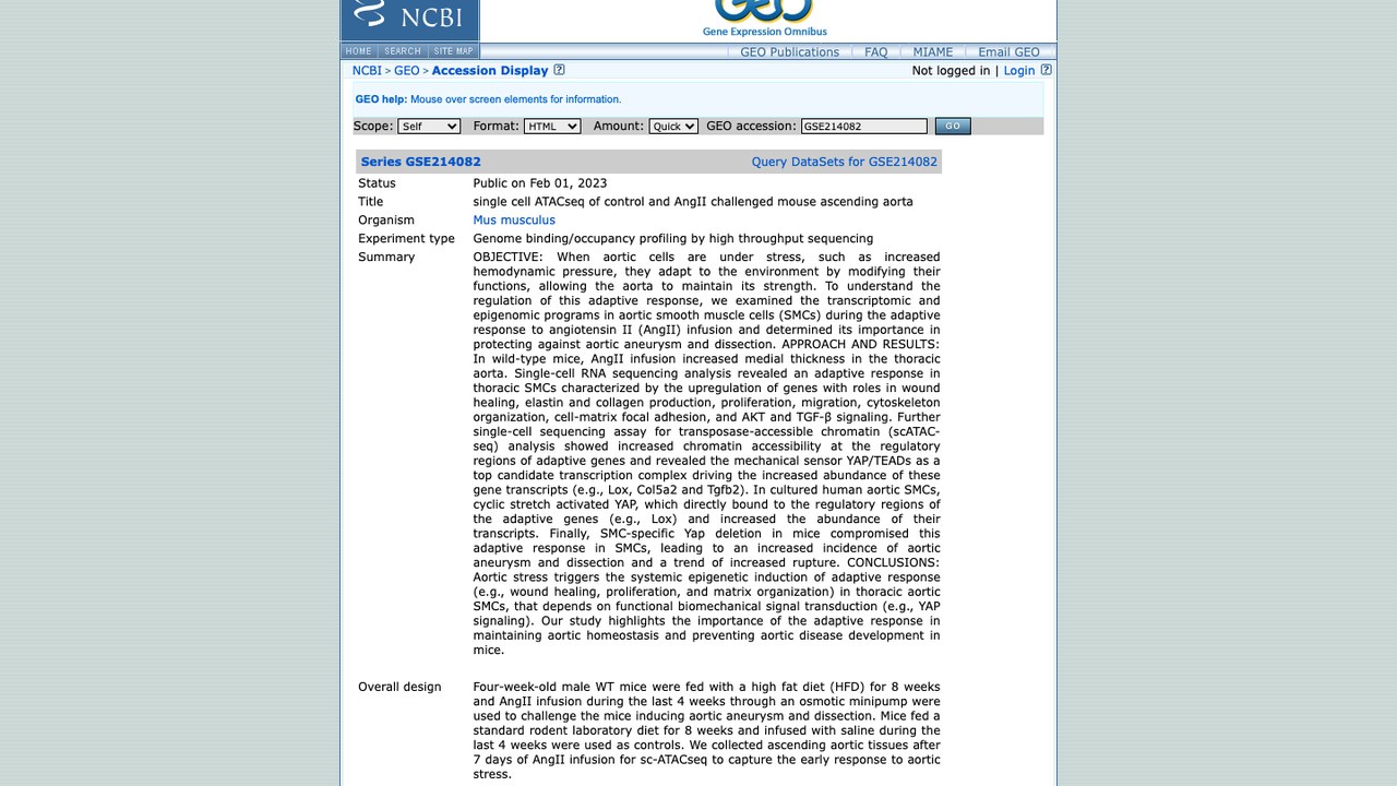对照与AngII刺激小鼠升主动脉单细胞ATACseq