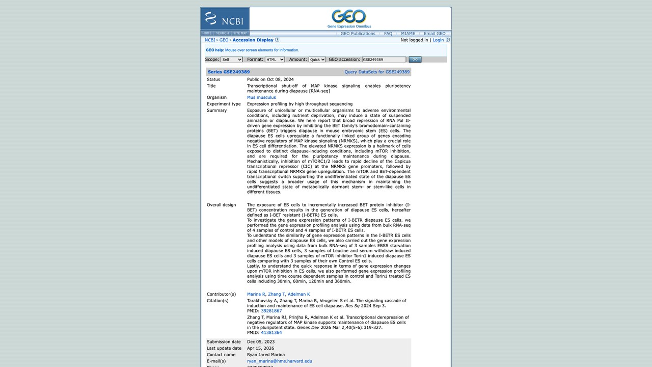 GSE249389：MAP激酶信号转录关闭维持滞育多能性[RNA-seq]