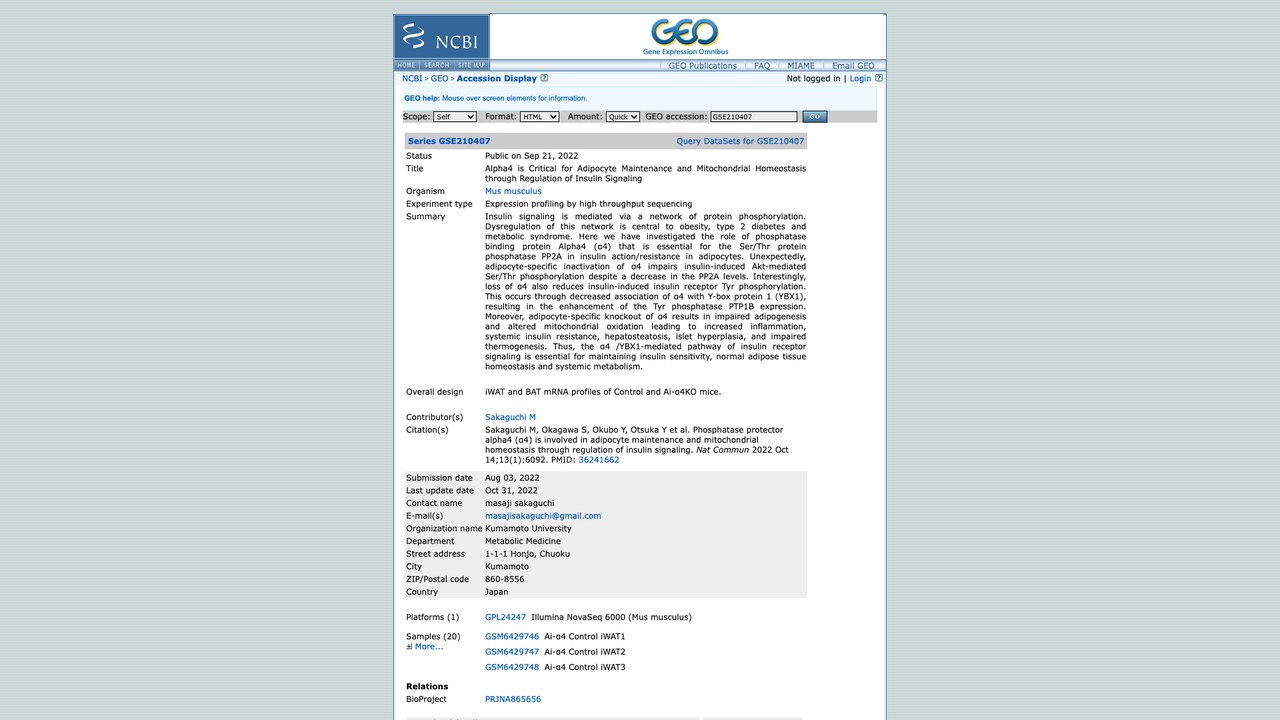 GSE210407:Alpha4通过调控胰岛素信号对脂肪细胞维持和线粒体稳态至关重要