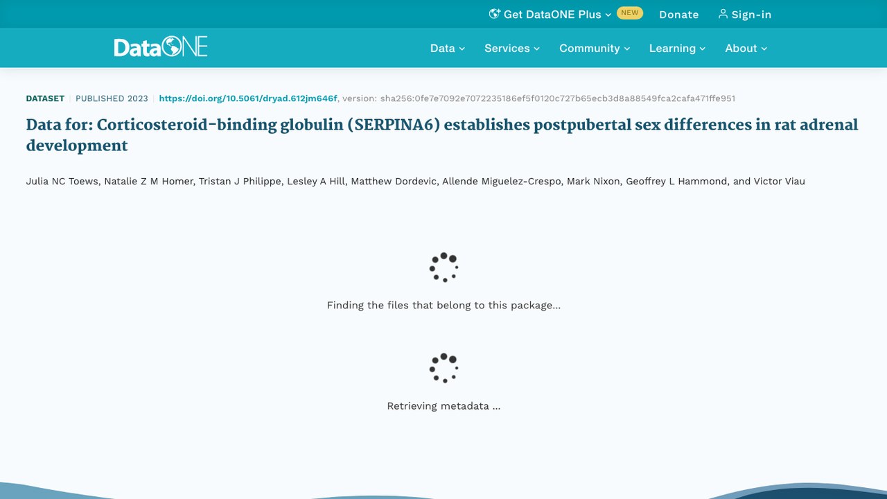 皮质类固醇结合球蛋白(SERPINA6)建立大鼠青春期后肾上腺发育性别差异的数据