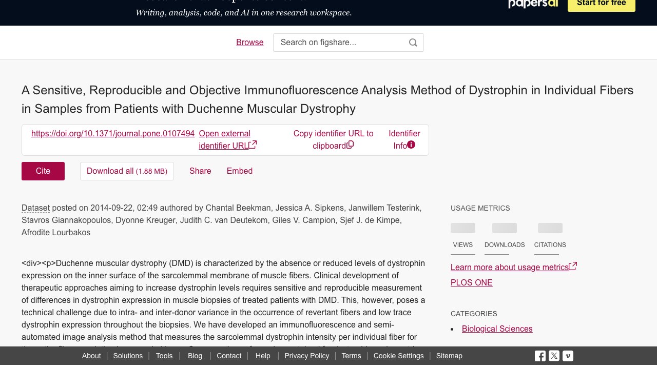 Duchenne肌营养不良症单纤维dystrophin免疫荧光分析方法