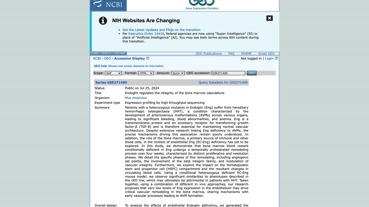 GSE271409:Endoglin 调控骨髓血管完整性