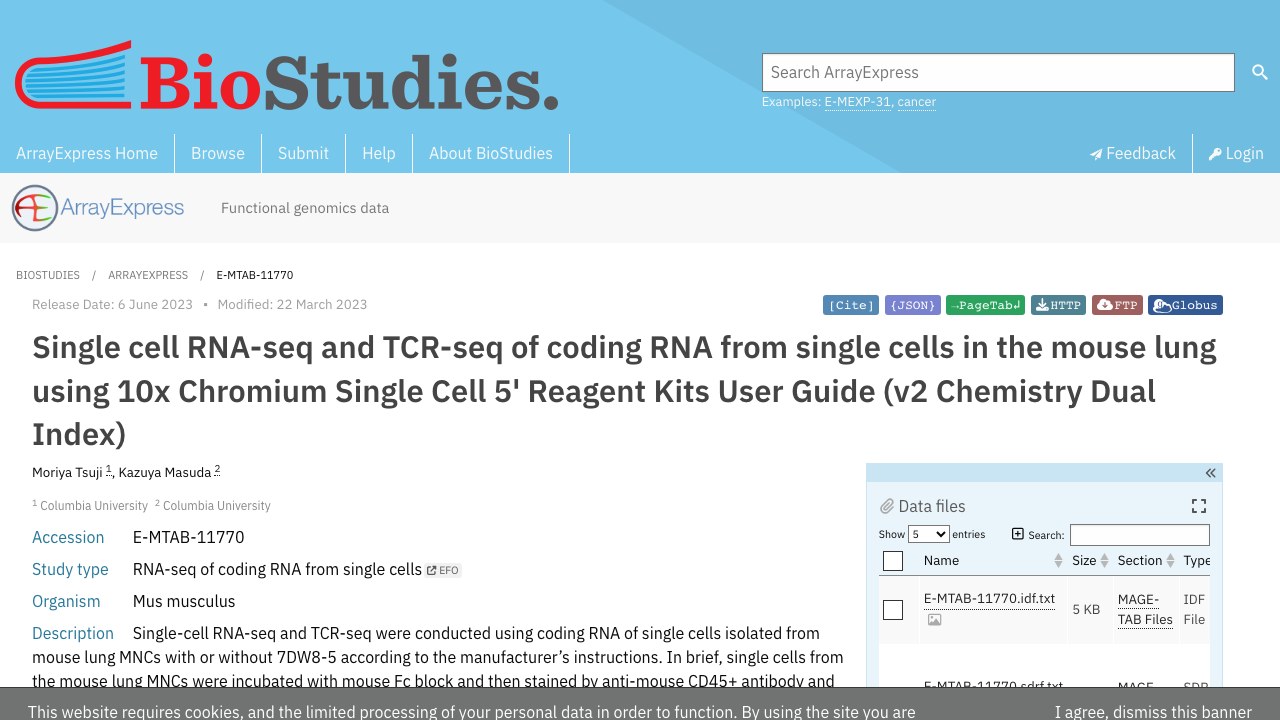 小鼠肺单细胞编码RNA的scRNA-seq与TCR-seq(10x Chromium 5' v2双索引)