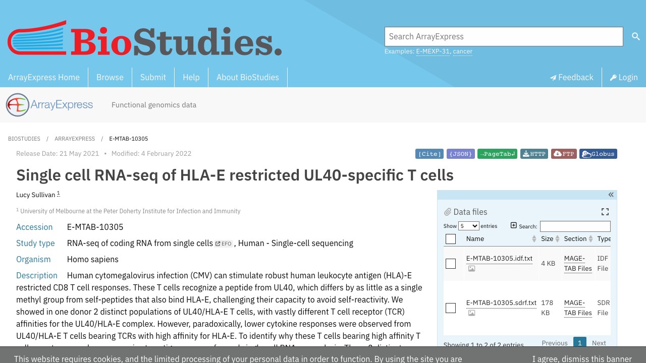 HLA-E限制性UL40特异性T细胞的单细胞RNA-seq