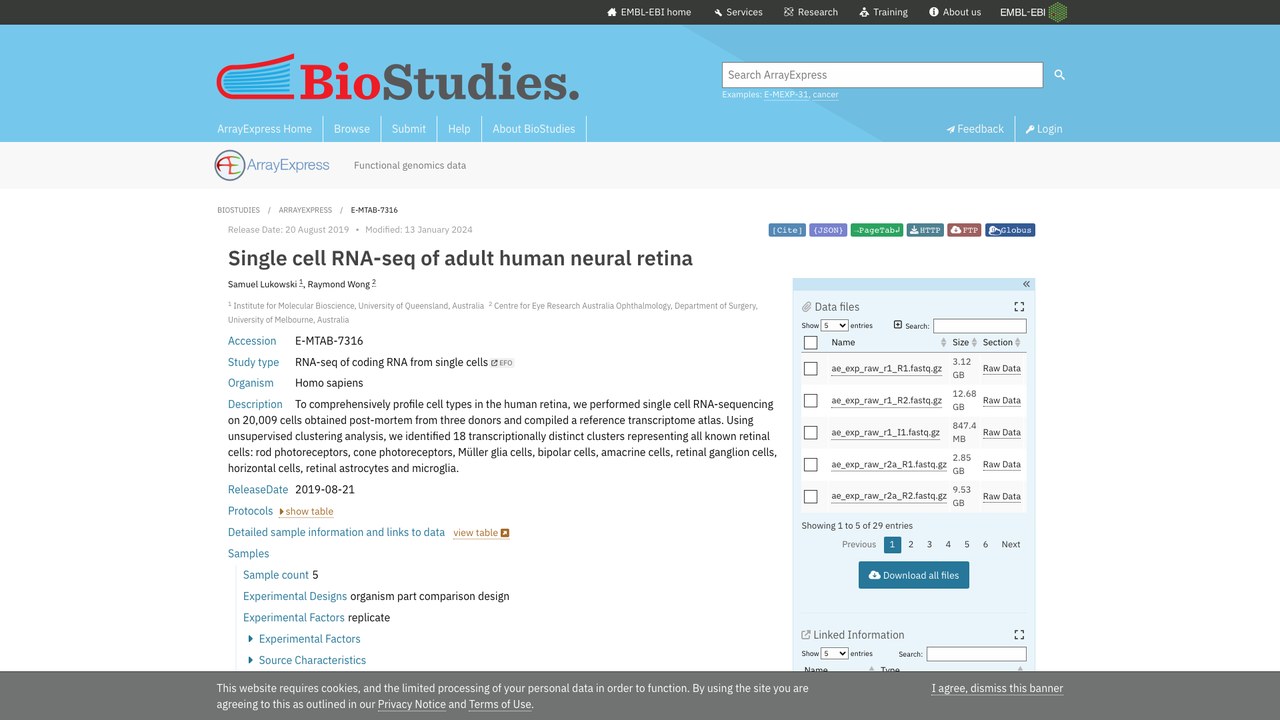 成人人神经视网膜单细胞RNA-seq