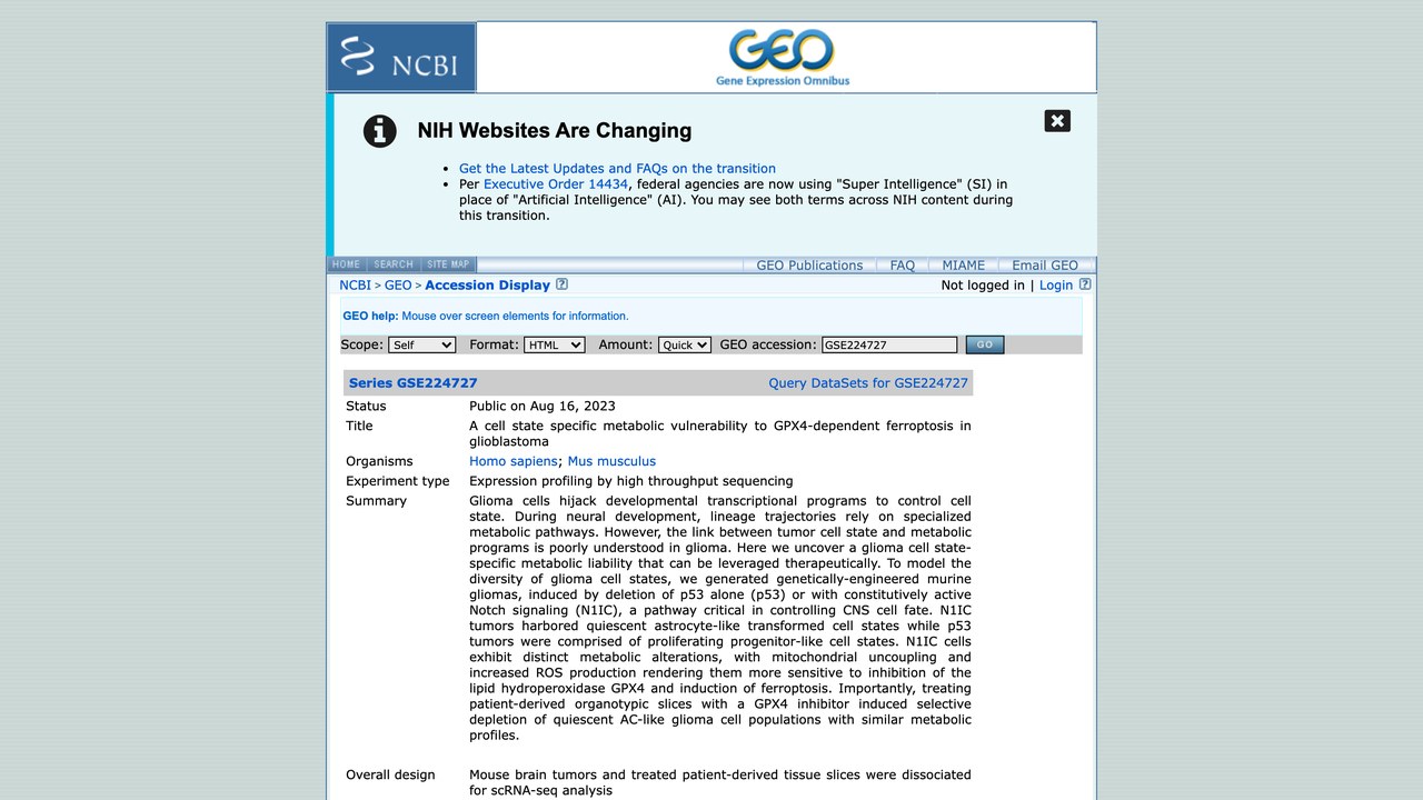 GSE224727:胶质母细胞瘤中细胞状态特异的GPX4依赖性铁死亡代谢脆弱性