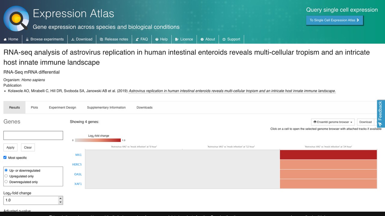 E-MTAB-8527：人肠道类肠团中星状病毒复制的RNA-seq分析揭示多细胞嗜性与复杂宿主先天免疫图景