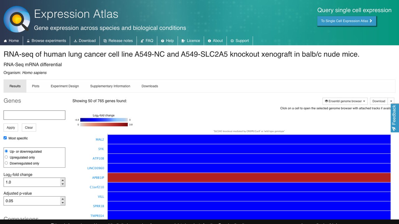人肺癌细胞系A549-NC与A549-SLC2A5敲除balb/c裸鼠异种移植瘤RNA-seq