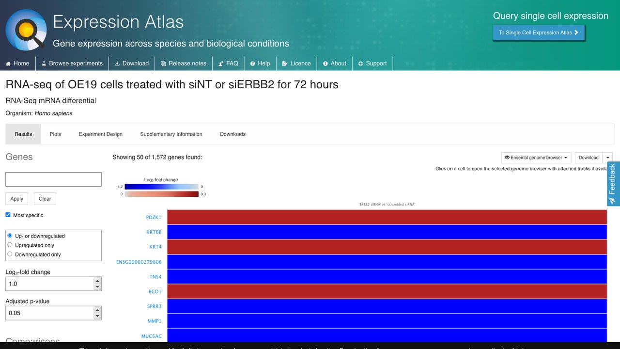 OE19细胞经siNT或siERBB2处理72小时的RNA-seq