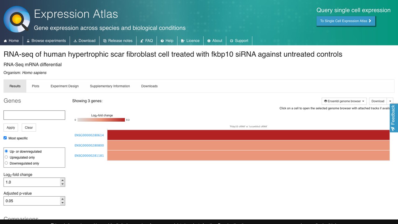 E-MTAB-9471:fkbp10 siRNA处理人增生性瘢痕成纤维细胞的RNA-seq