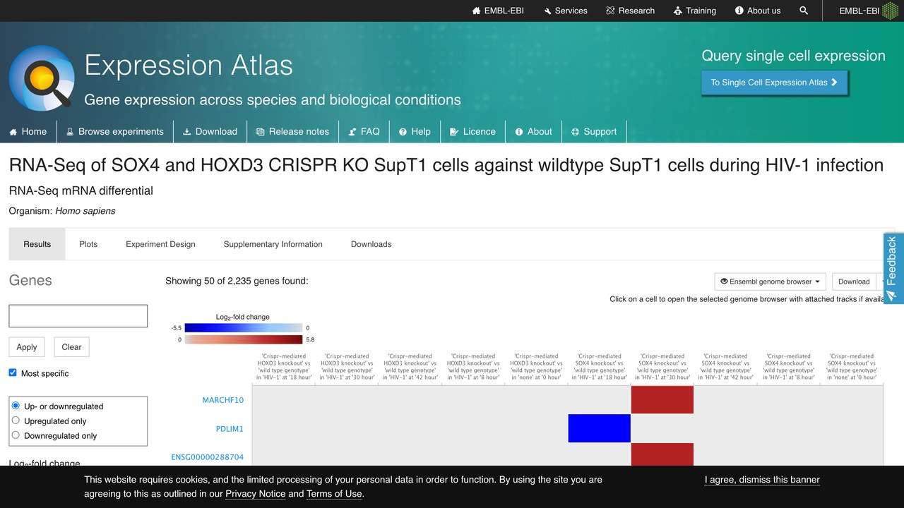 HIV-1感染期间SOX4和HOXD3 CRISPR敲除SupT1细胞对比野生型SupT1细胞的RNA-Seq