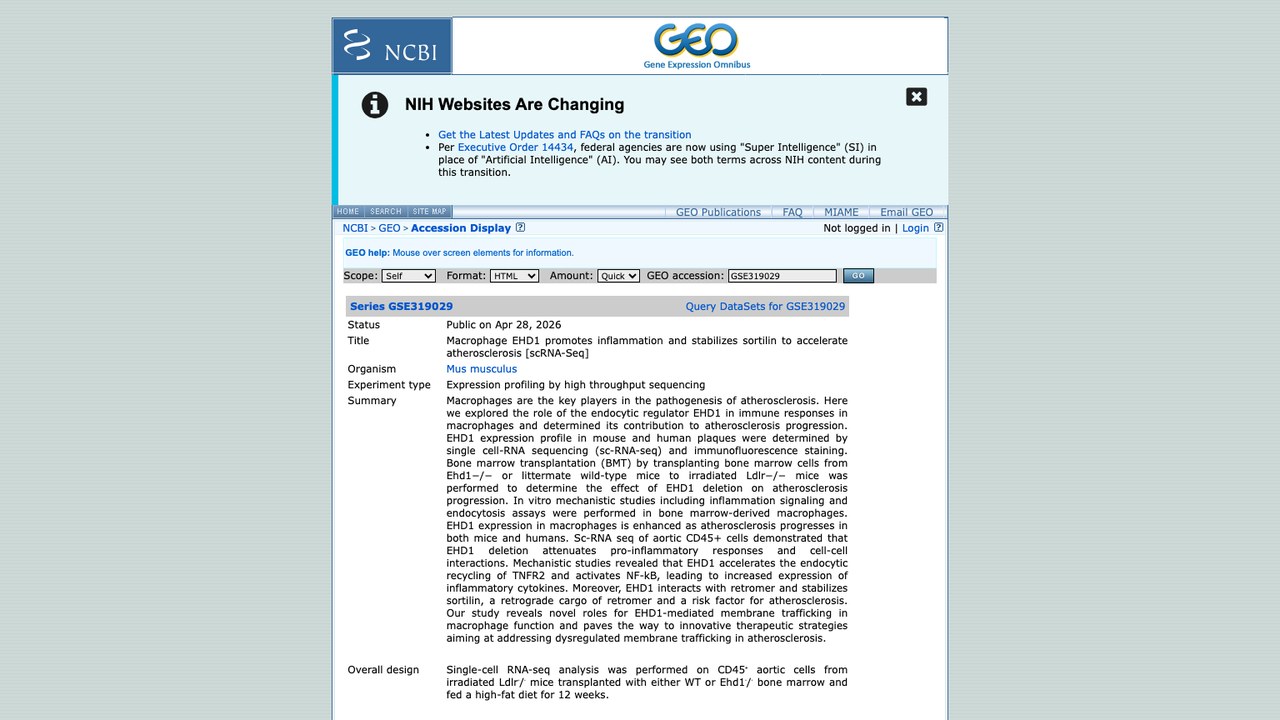 巨噬细胞EHD1促进炎症并稳定sortilin加速动脉粥样硬化[scRNA-Seq]