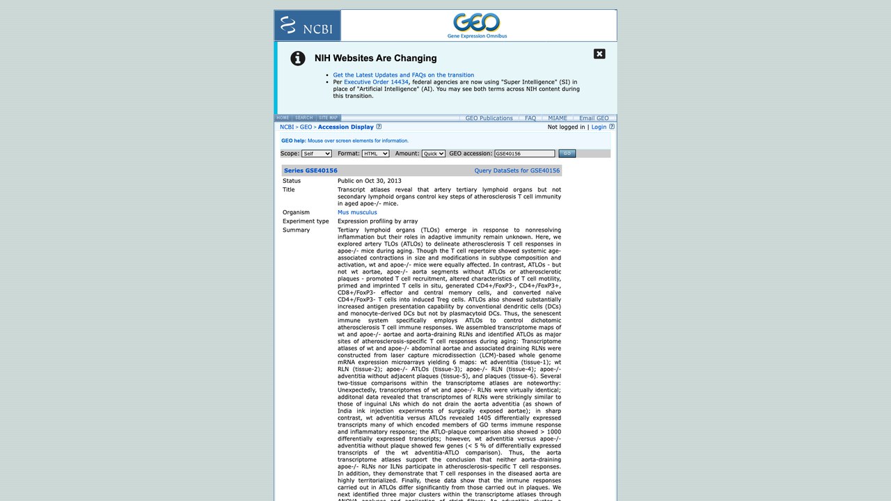 GSE40156:转录图谱揭示老年apoe-/-小鼠动脉三级淋巴器官而非二级淋巴器官控制动脉粥样硬化T细胞免疫关键步骤