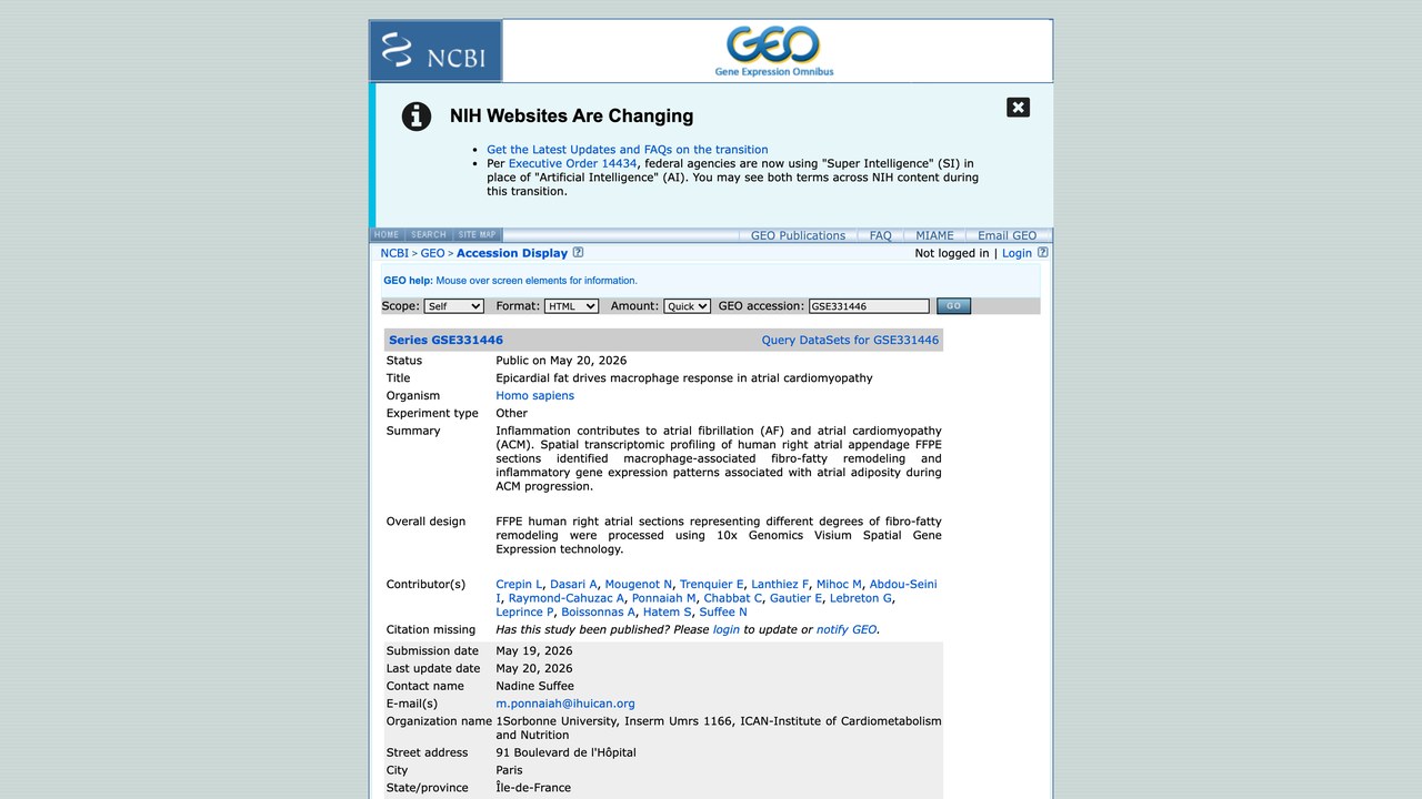 GSE331446：心外膜脂肪驱动心房心肌病中的巨噬细胞反应