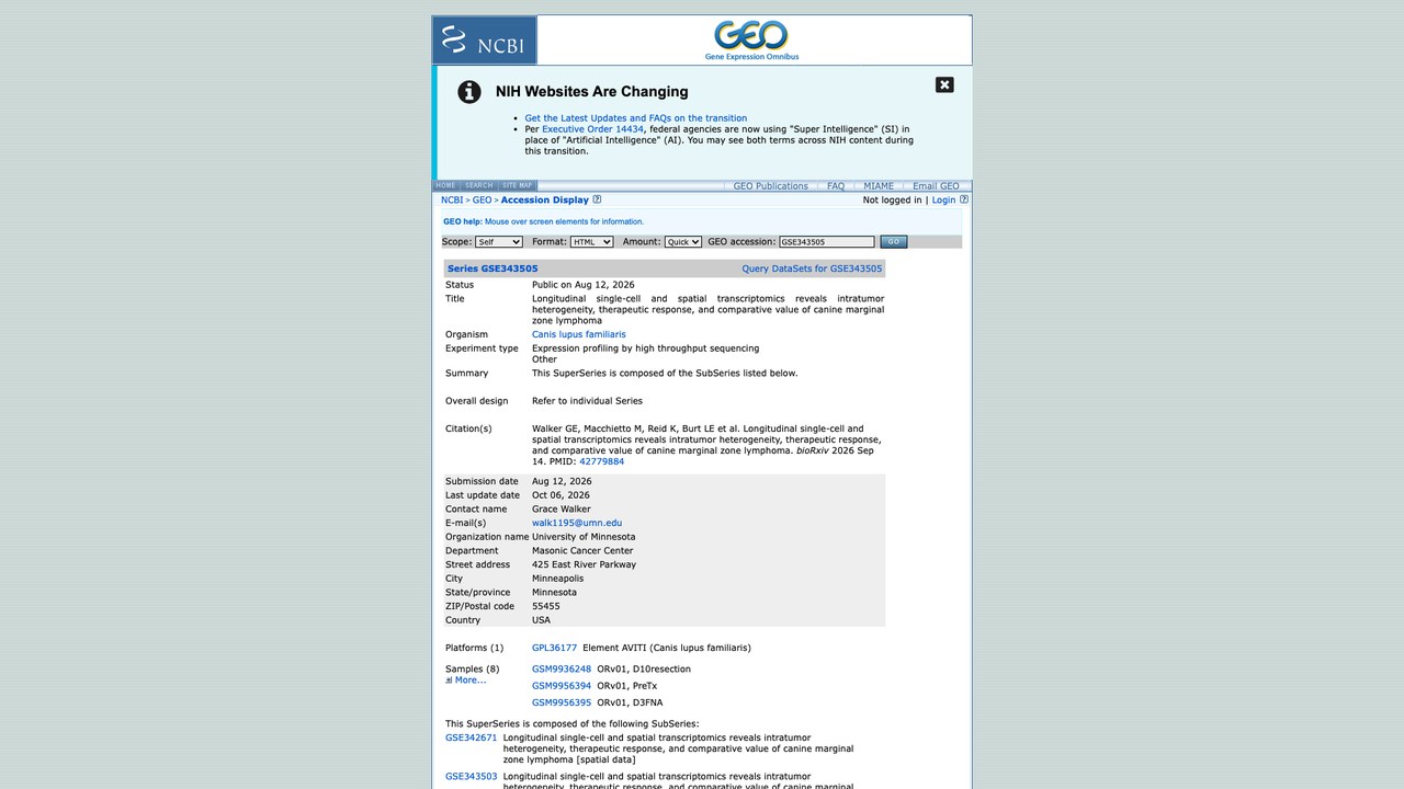 犬边缘区淋巴瘤纵向单细胞与空间转录组揭示瘤内异质性、治疗反应及比较价值