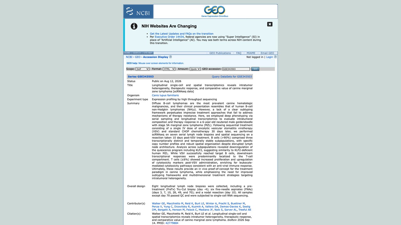 犬边缘区淋巴瘤纵向单细胞与空间转录组数据(scRNAseq)