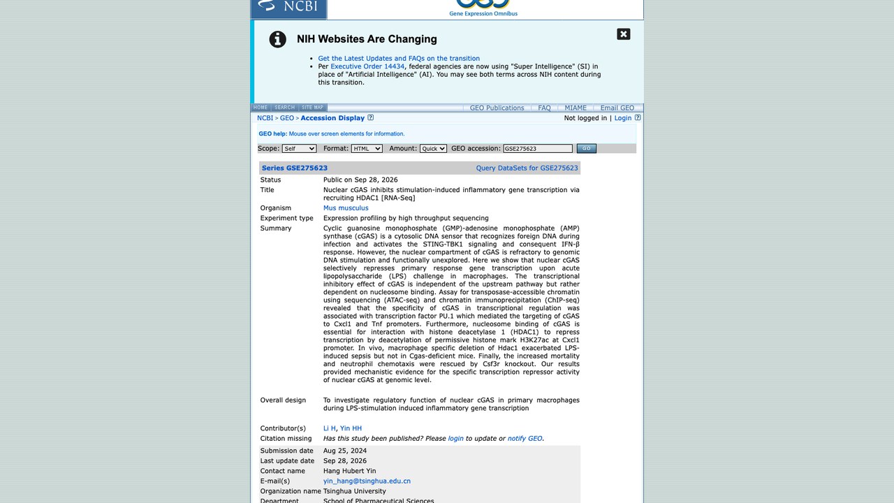 核内cGAS通过招募HDAC1抑制刺激诱导的炎症基因转录 [RNA-Seq]