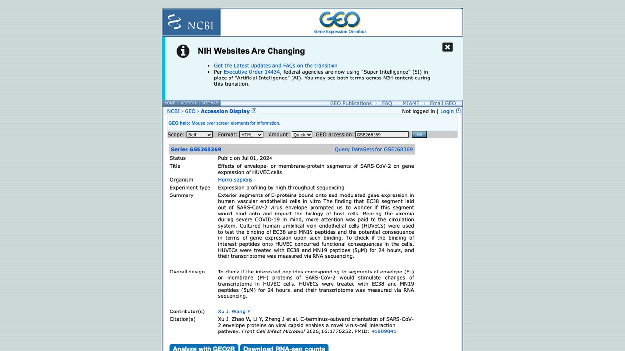 SARS-CoV-2包膜蛋白或膜蛋白片段对HUVEC细胞基因表达的影响