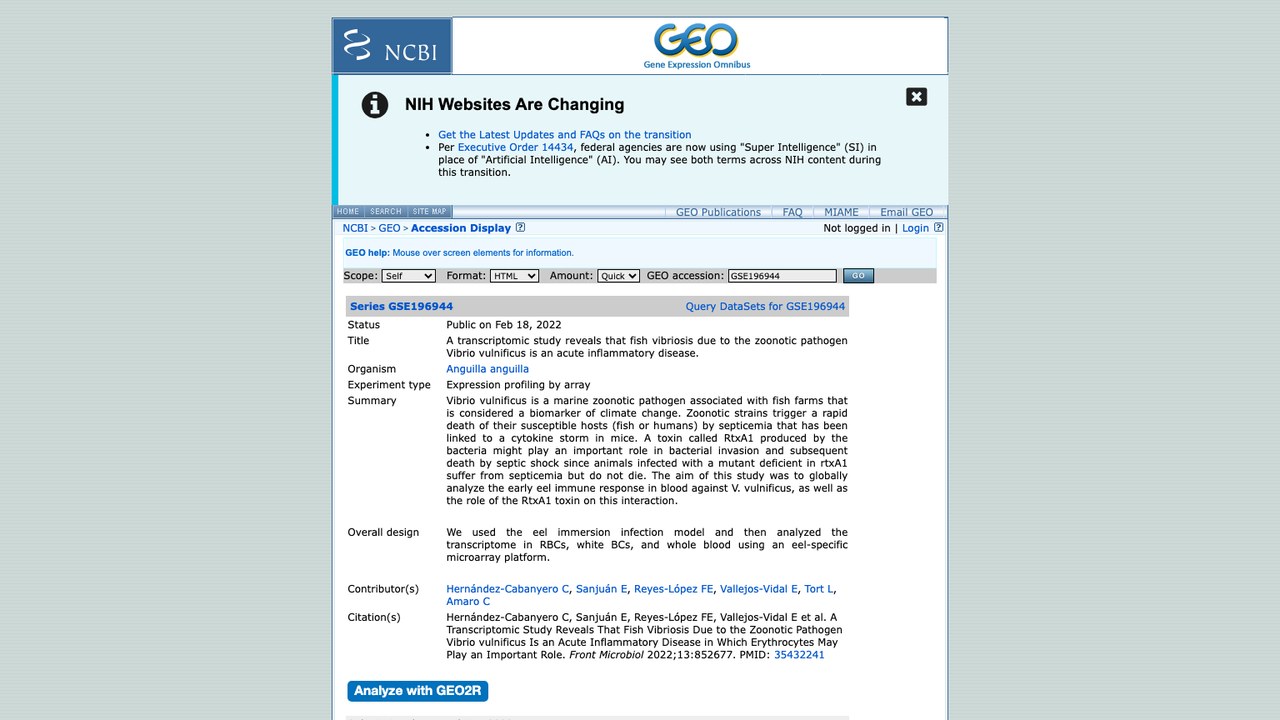 GSE196944:转录组研究揭示由人畜共患病原体创伤弧菌引起的鱼类弧菌病是一种急性炎症性疾病