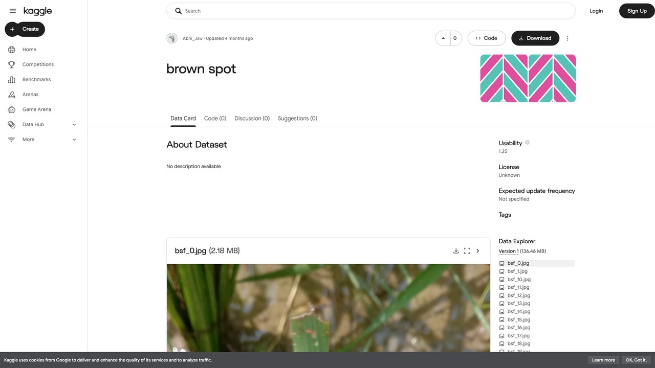 brown spot 皮肤图像数据集