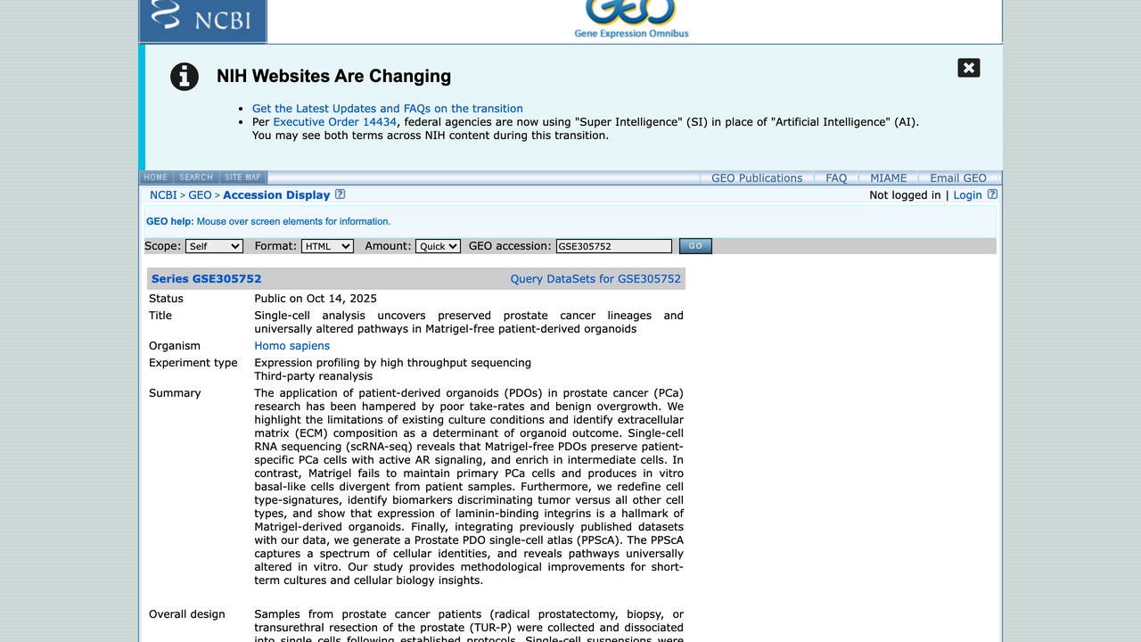 GSE305752:单细胞分析揭示无Matrigel患者来源类器官中保留的前列腺癌谱系及普遍改变的通路