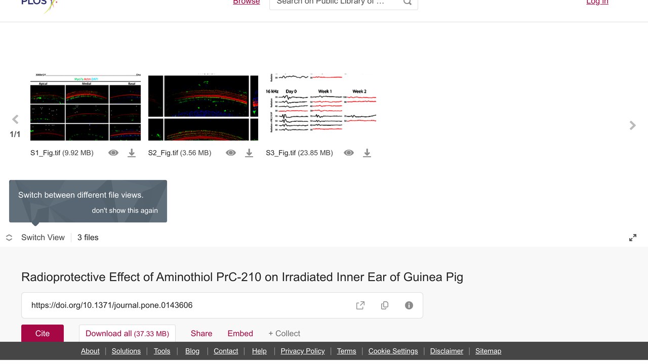 Aminothiol PrC-210 对受照射豚鼠内耳的辐射防护作用