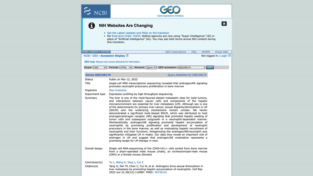 GSE198175:单细胞RNA转录组测序揭示雄激素/AR信号促进骨髓中性粒细胞前体增殖