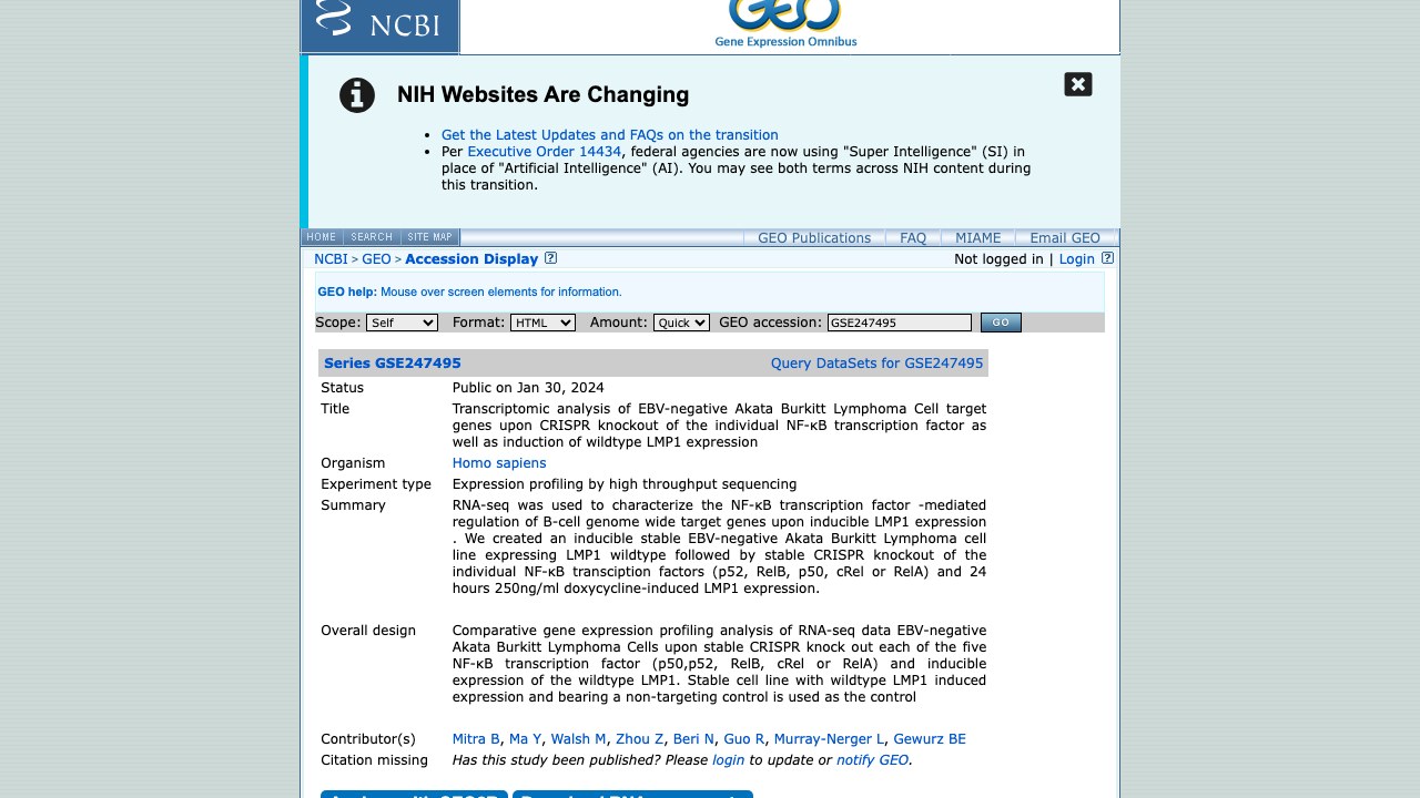EBV阴性Akata伯基特淋巴瘤细胞NF-κB转录因子CRISPR敲除及LMP1表达诱导的转录组分析