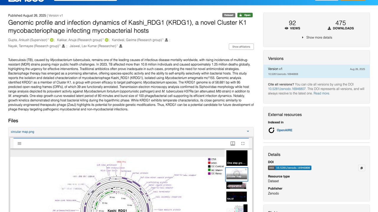 Kashi_RDG1(KRDG1)新型Cluster K1分枝杆菌噬菌体基因组特征与感染动力学数据