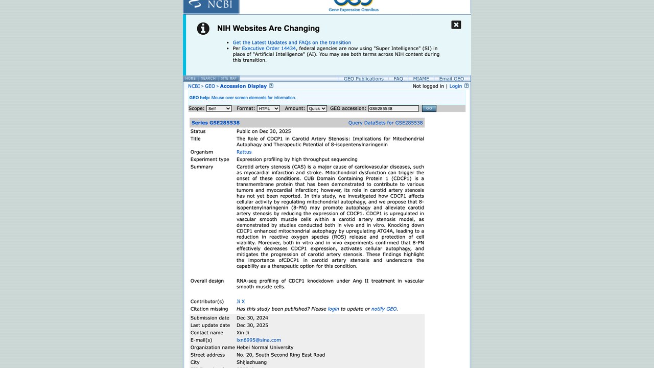 GSE285538：CDCP1在颈动脉狭窄中的作用及8-isopentenylnaringenin的线粒体自噬治疗潜力