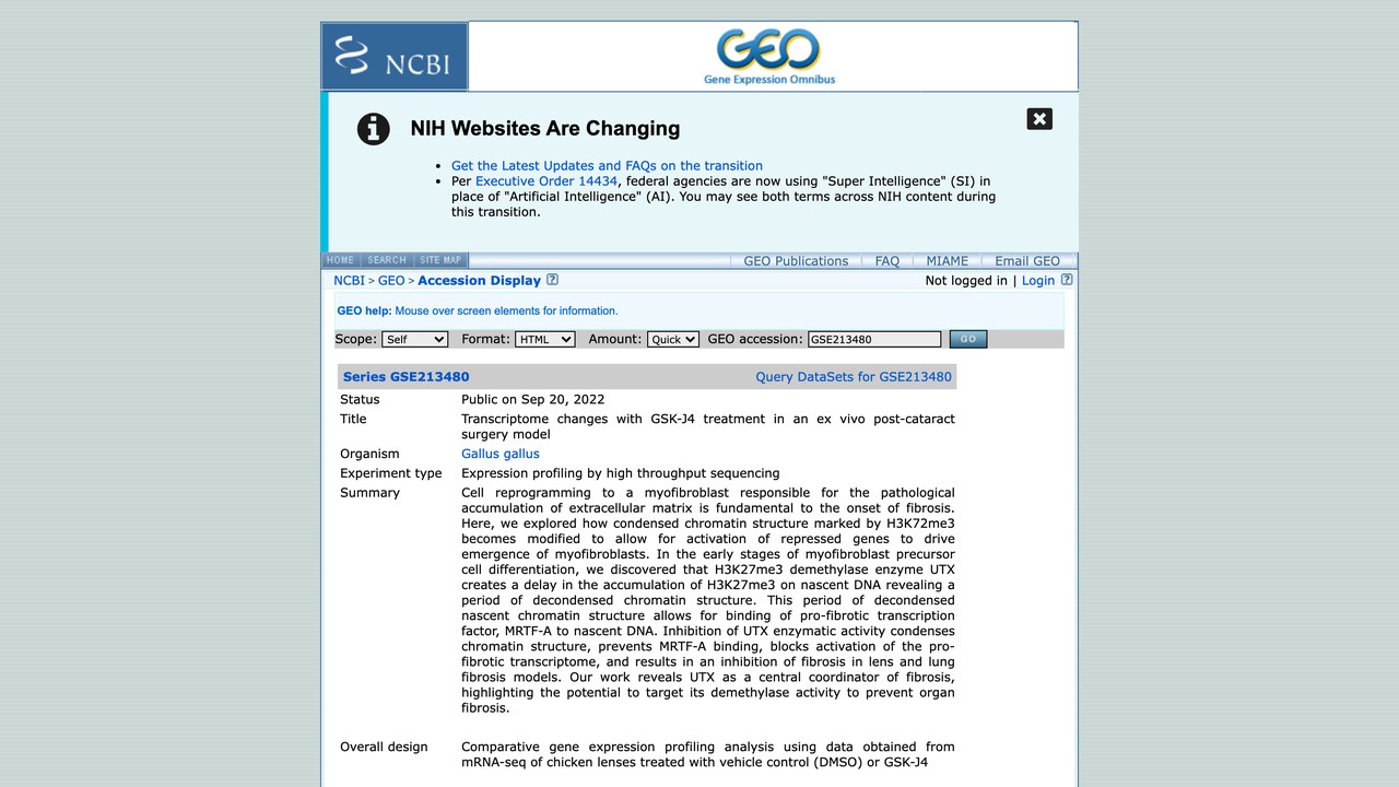 GSK-J4处理白内障术后离体模型的转录组变化
