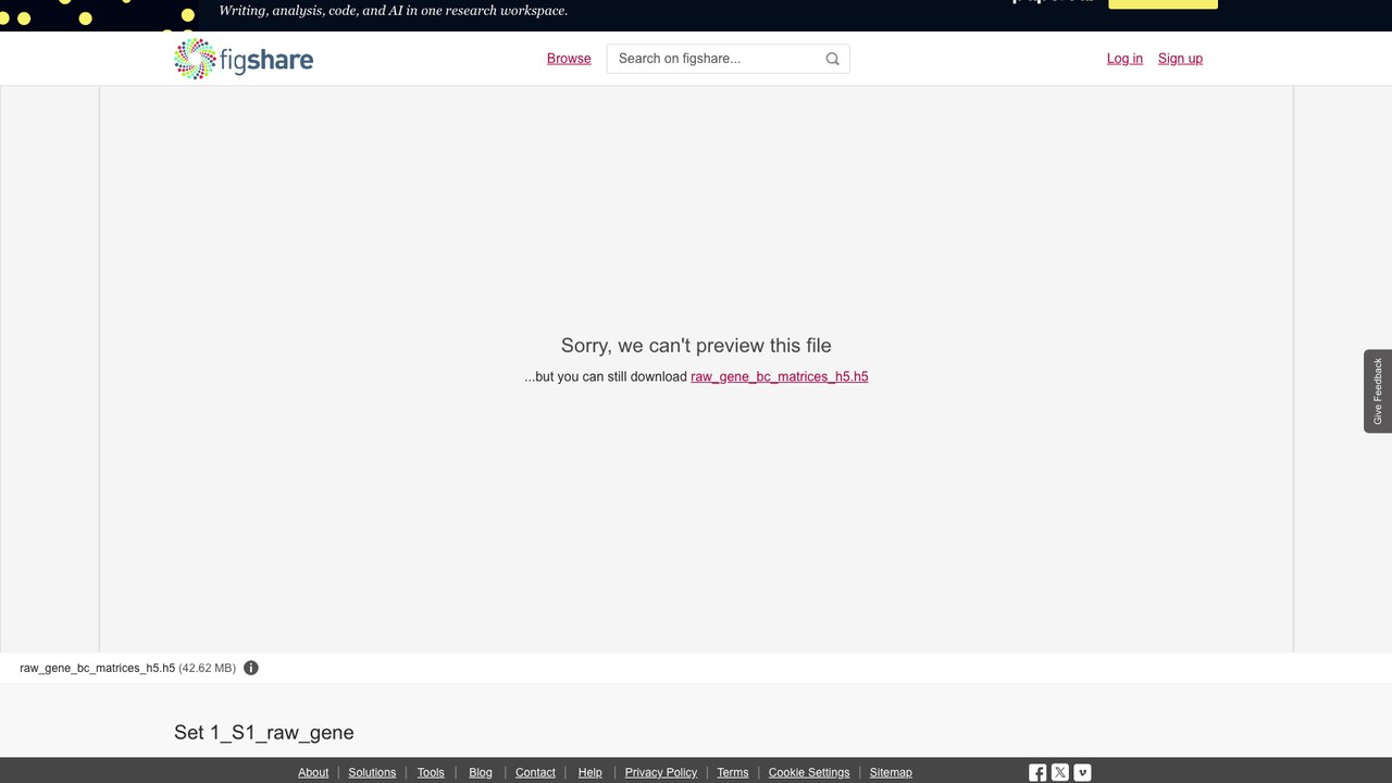 Set 1_S1_raw_gene:肾动脉狭窄肾脏单细胞基因表达数据